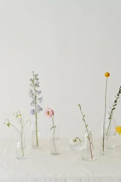 Illustration delphinium - Image 2