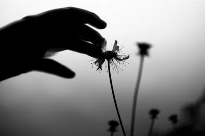 Illustration molester - Image 1