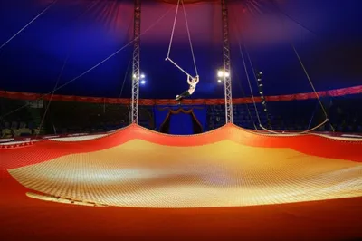 Illustration safety nets - Image 1