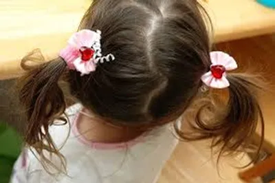 Illustration pigtail - Image 2