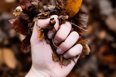 Illustration crunch - Image 1