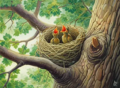 Illustration supporting