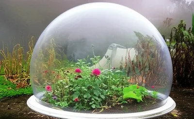 Illustration inoculating - Image 1