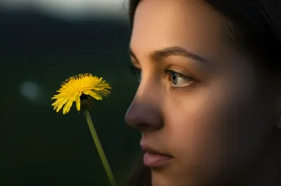 Illustration sees - Image 1