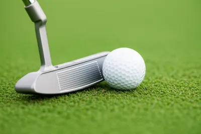 Illustration putted - Image 1