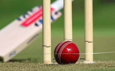 Illustration wired - Image 1