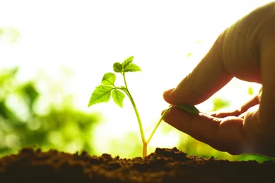 Illustration coaxing - Image 1