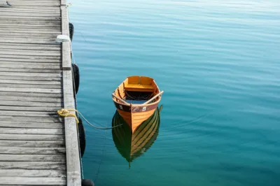 Illustration launch - Image 1