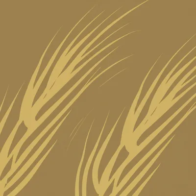 Illustration wheat - Image 1