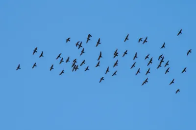 Illustration strong - Image 1