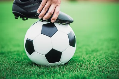 Illustration toe - Image 1