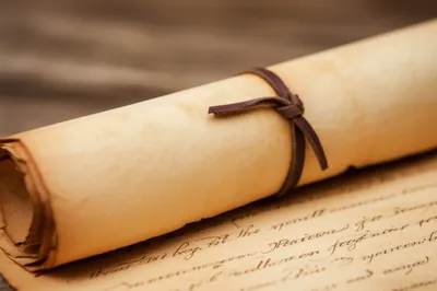 Illustration rolls - Image 1