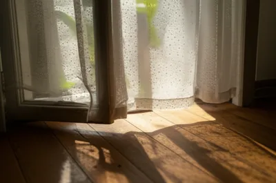 Illustration persiennes