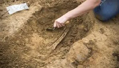 Illustration unearth - Image 2