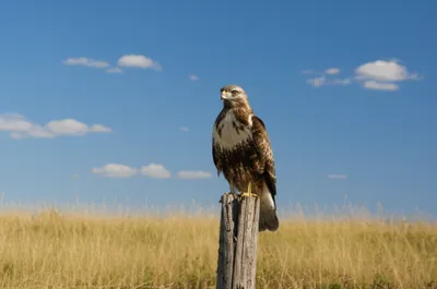 Illustration weather - Image 1