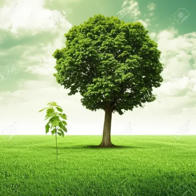 Illustration tenfold - Image 2