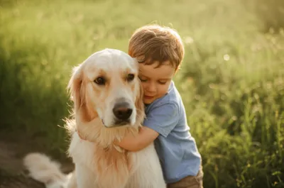 Illustration devoted - Image 1