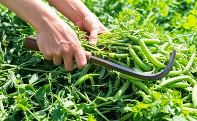 Illustration makes - Image 1