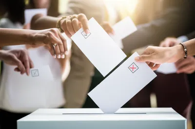 Illustration polling - Image 1