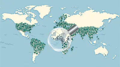 Illustration whereabouts