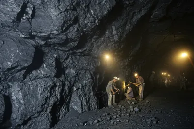 Hình ảnh minh họa banks - Ảnh 1