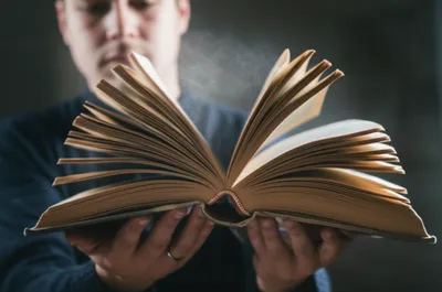 Illustration galloped - Image 1