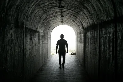 Illustration undergone - Image 2