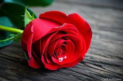 Illustration moving - Image 1