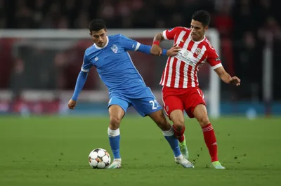 Illustration shepherds - Image 1