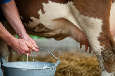 Illustration stripped - Image 1