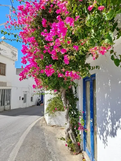 Illustration booming - Image 2