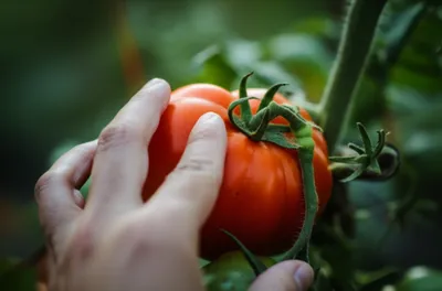 Illustration fingers - Image 1