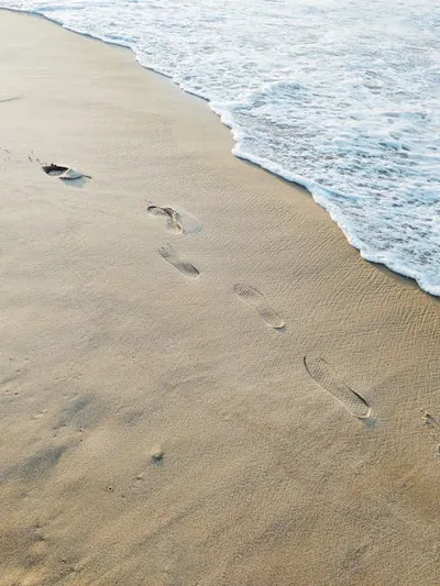 Illustration shoreline - Image 2