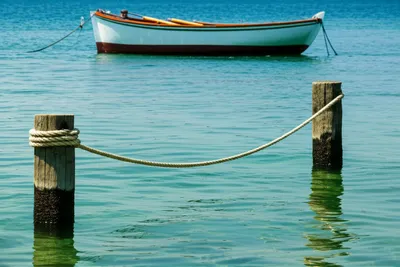 Illustration anchor - Image 1