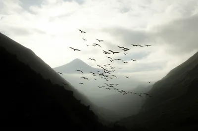 Illustration upwards