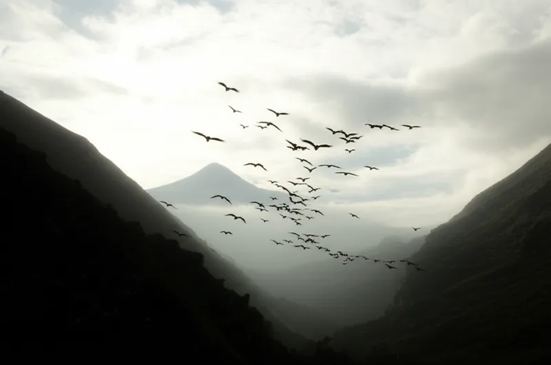 Illustration visuelle du mot « upwards » - Vers le haut, en haut