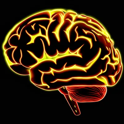 Illustration degeneracy - Image 1