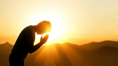 Illustration honoured