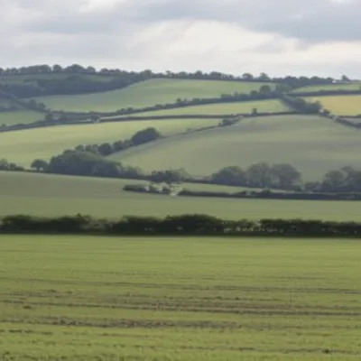 Illustration virgate - Image 1