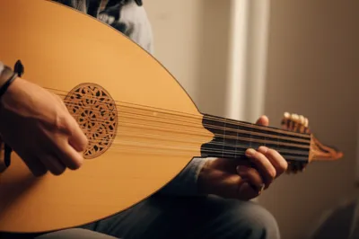 Illustration mandolin