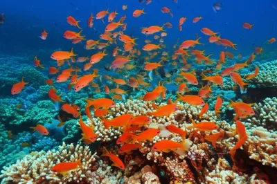 Illustration circulating - Image 1