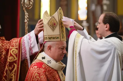 Illustration mitre - Image 1