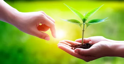 Illustration imparts - Image 1