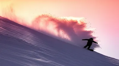 Illustration shredded - Image 1