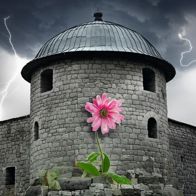 Illustration impregnable - Image 1