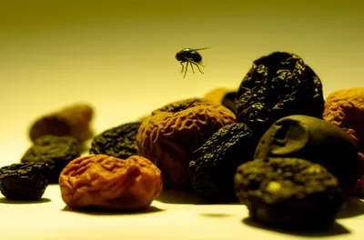 Illustration shit - Image 1