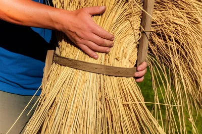 Illustration hoops - Image 1