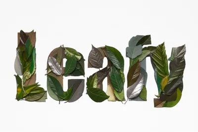 Illustration leafy - Image 1