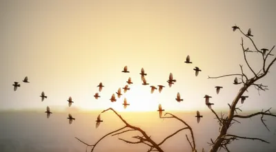 Illustration adjourning - Image 1