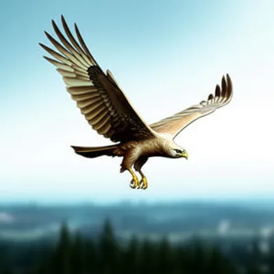 Illustration soar - Image 1